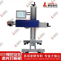 Fiber laser ukit machine na may computer